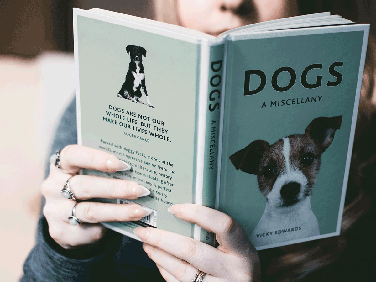 Things To Know About Readers